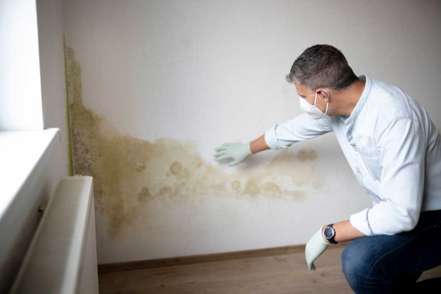 Muffa in appartamento: quando non puoi pagare l'affitto?