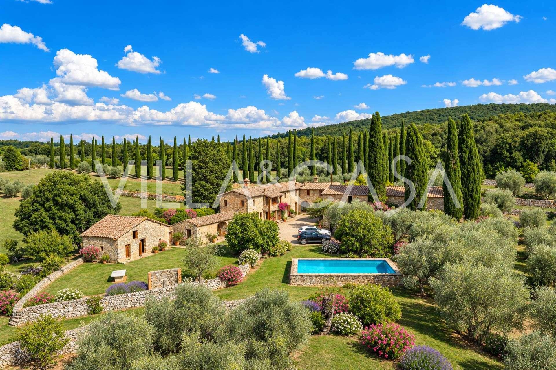 Terreno in vendita con ulivi vicino a Siena, Toscana