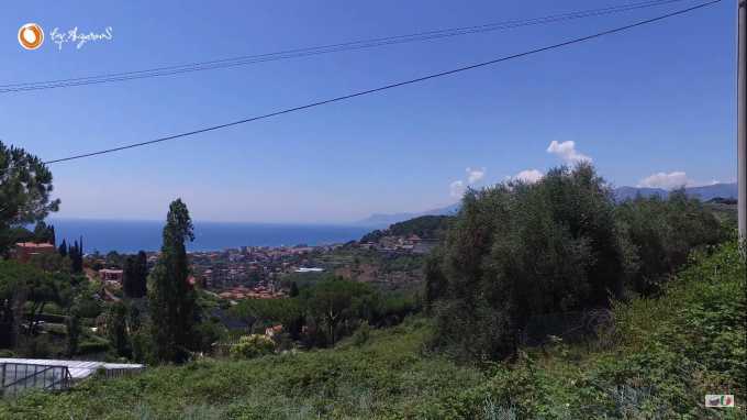 Il terreno di un ettaro vicino al mare a Bordighera.