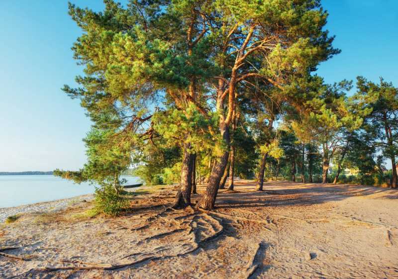 Camping al mare in Toscana in vendita
