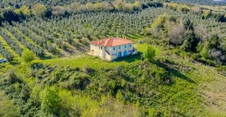 Tenuta a Manciano, Toscana in vendita