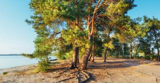 Camping al mare in Toscana in vendita