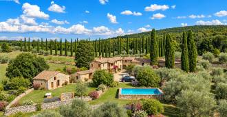 Terreno in vendita con ulivi vicino a Siena, Toscana